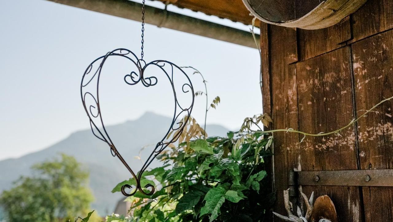 Archehof Eislbauer - Bauernhof Fuer Die Seele! Vila Sankt Gilgen Exterior foto